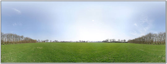 Wiese bei Bargteheide 2